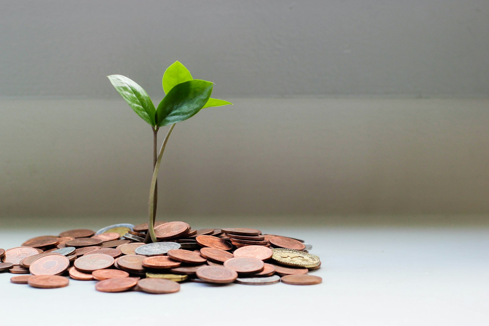 Fuolio finance overview